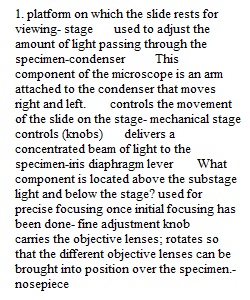 Lab Exercise 1